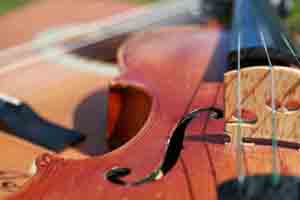 ikamfiolbild.jpg2webb